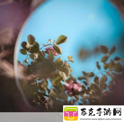 對鏡子看我們的結(jié)合處1.鏡中映照：自我認(rèn)知的奇妙旅程！