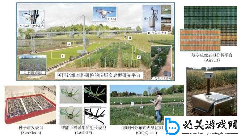 光明大陸：植物用途與采集點(diǎn)解析！