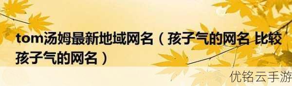 tom1688最新地域網(wǎng)名